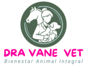 dravanevet.cl