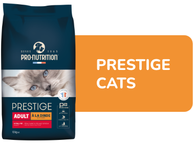 Prestige Cats