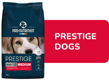 Prestige Dogs