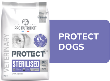 Protect Dogs