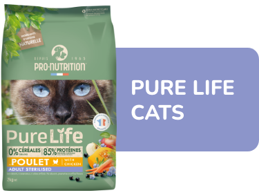 Pure Life Cat