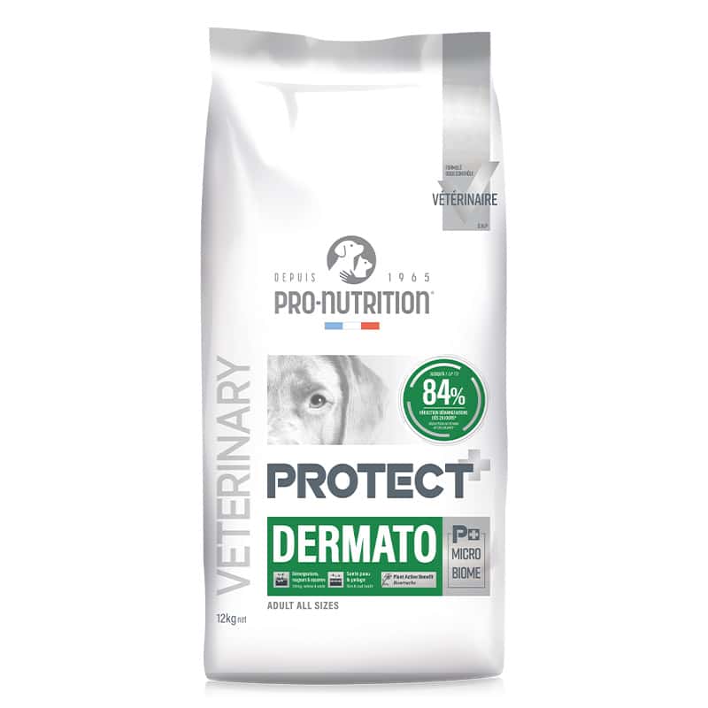 Protect Dermato Canino 2 Kg y 12 Kg - Imagen 2
